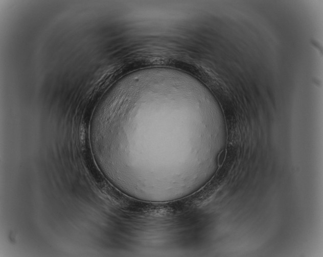 X0000091490646200709131831