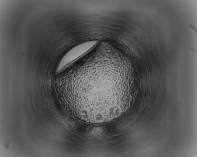 X0000091490647200709131831