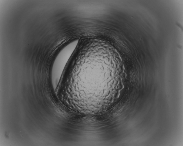 X0000091490648200709131831
