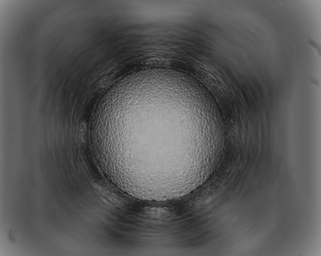 X0000091490649200709131831