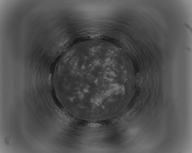 X0000091490650200709131831