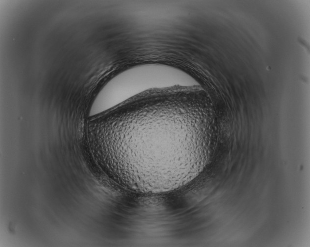 X0000091490652200709131831