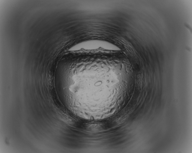 X0000091490653200709131831