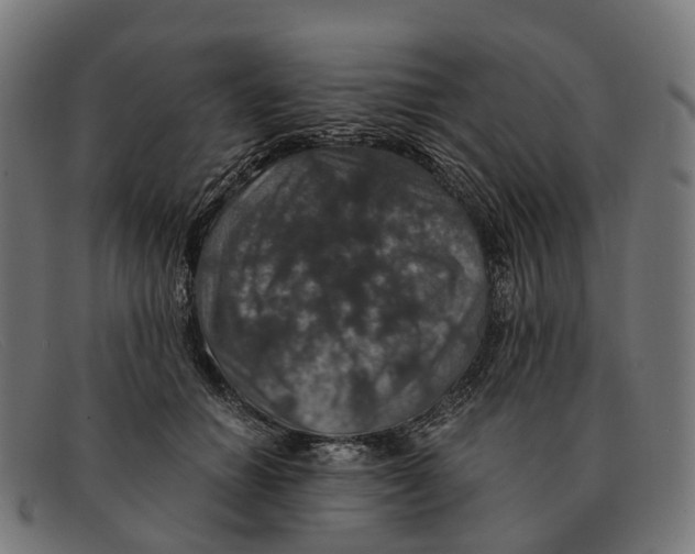 X0000091490654200709131831