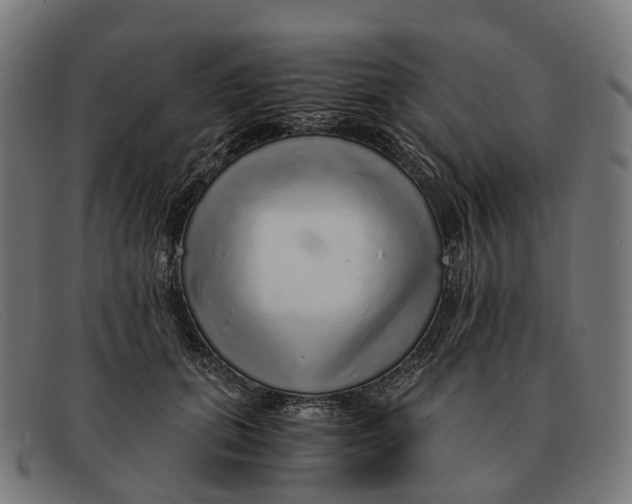 X0000091490655200709131831