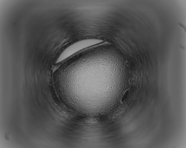 X0000091490656200709131831