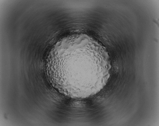 X0000091490657200709131831