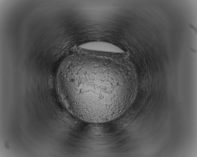 X0000091490658200709131831