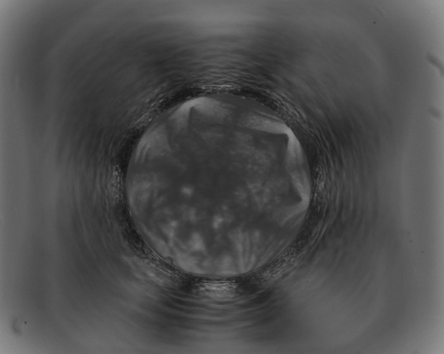 X0000091490659200709131831