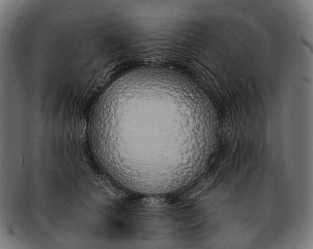 X0000091490660200709131831
