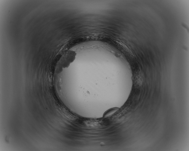 X0000091490661200709131832