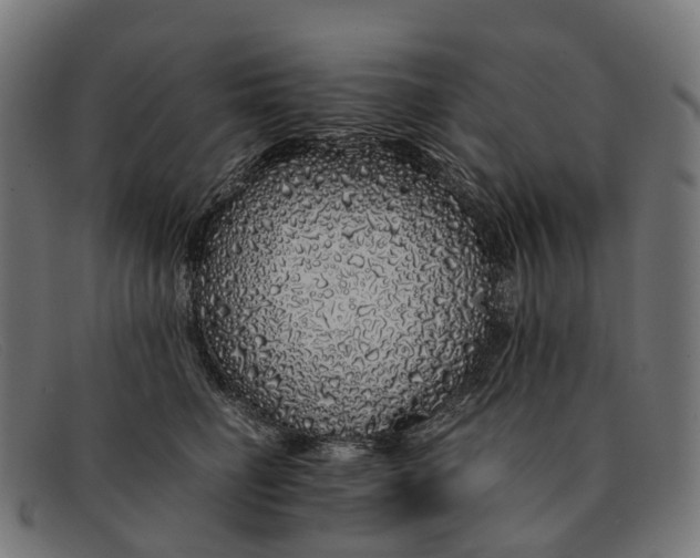 X0000091490662200709131832