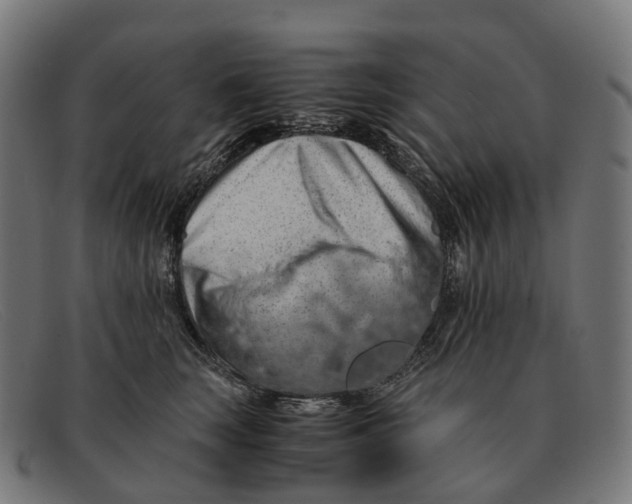 X0000091490663200709131832