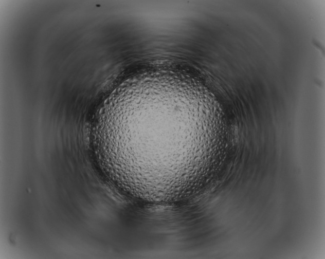 X0000091490664200709131832