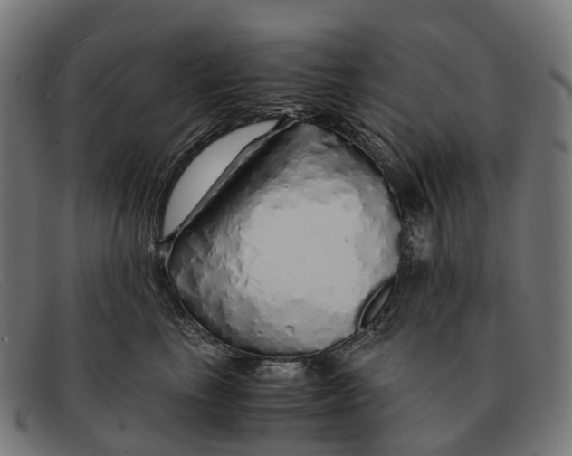 X0000091490665200709131832