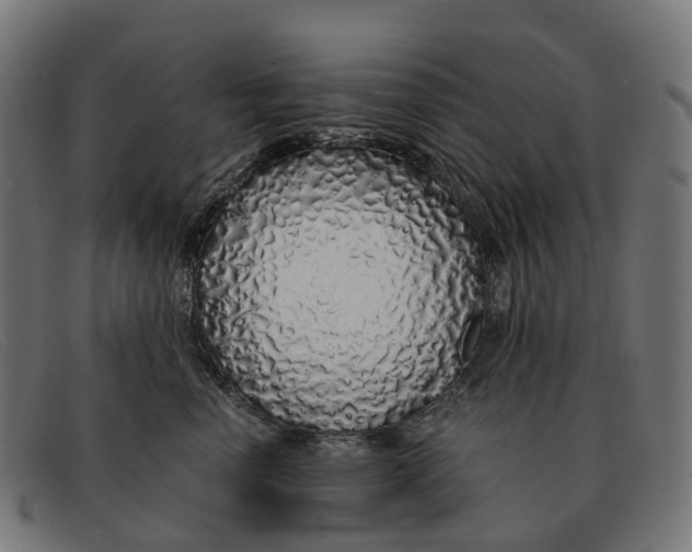 X0000091490666200709131832