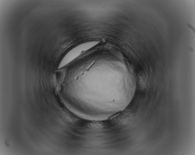 X0000091490668200709131832