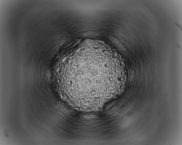 X0000091490669200709131832