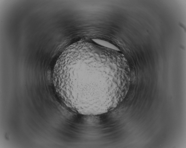 X0000091490670200709131832