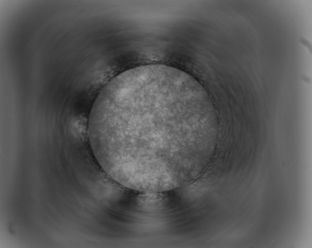 X0000091490672200709131832