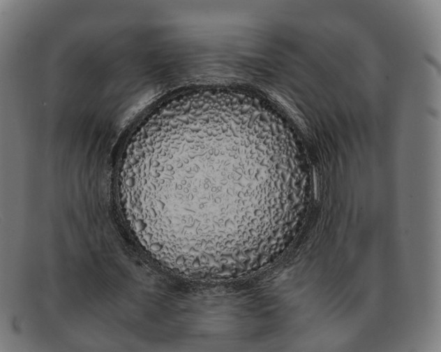X0000091490675200709131831