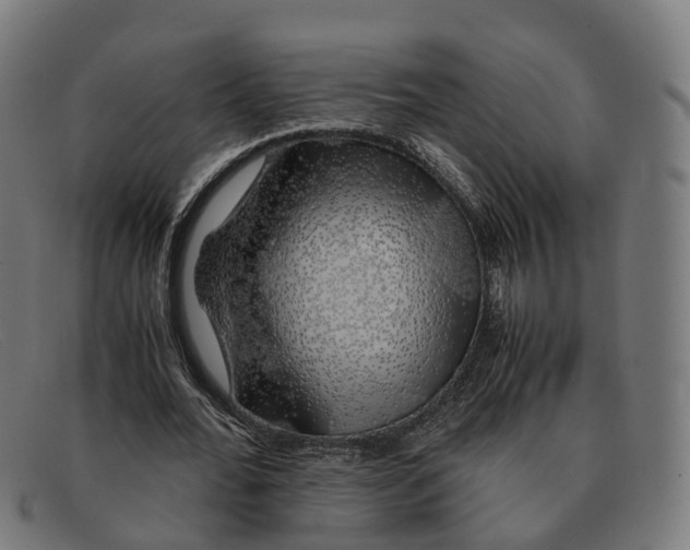 X0000091490676200709131831