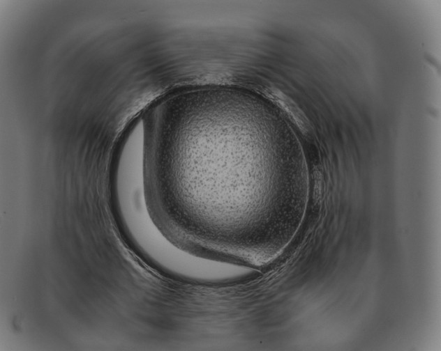 X0000091490677200709131831