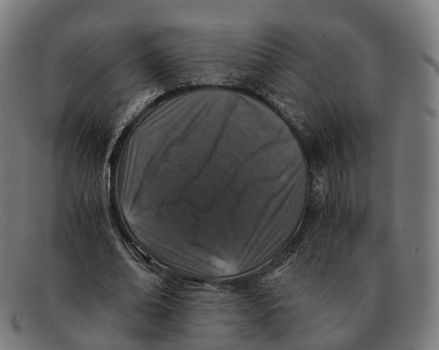 X0000091490678200709131831