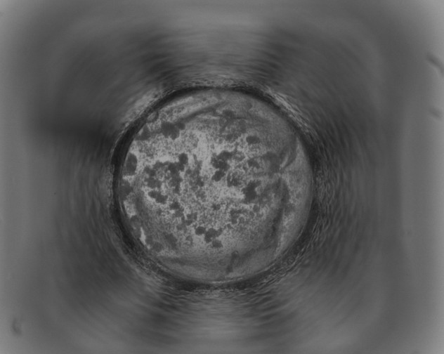 X0000091490679200709131831