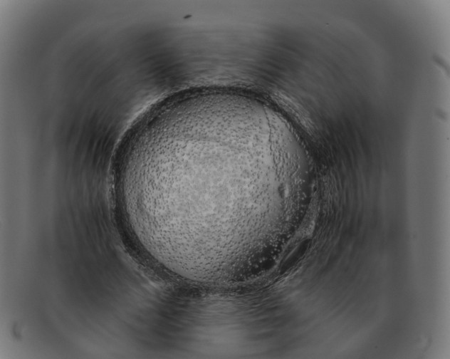 X0000091490680200709131831