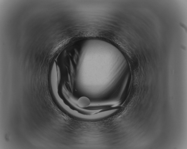 X0000091490681200709131831