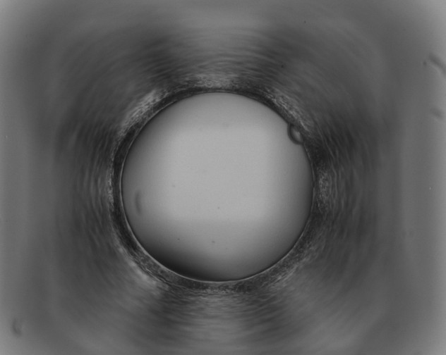 X0000091490682200709131831