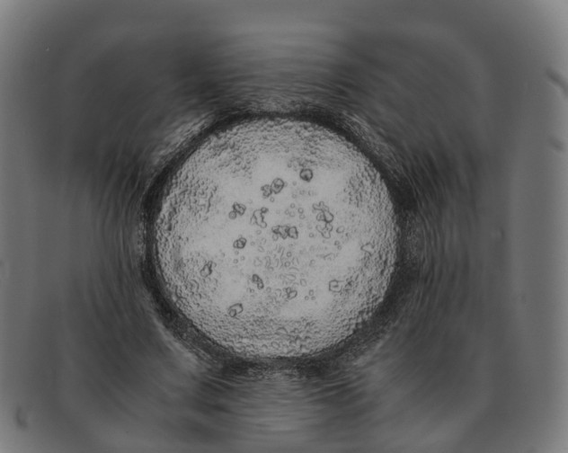 X0000091490683200709131831