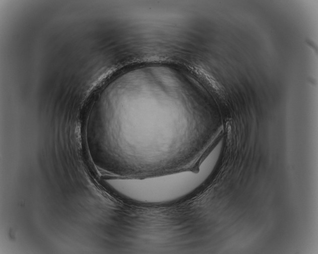 X0000091490684200709131831