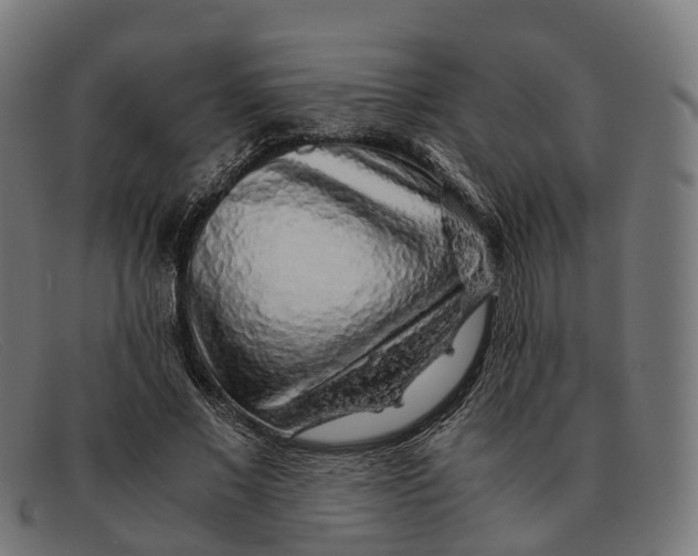 X0000091490685200709131831