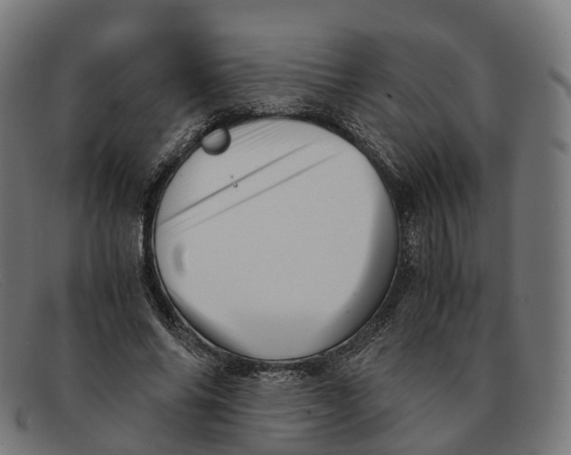 X0000091490686200709131831