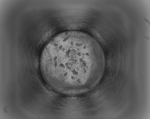 X0000091490687200709131831