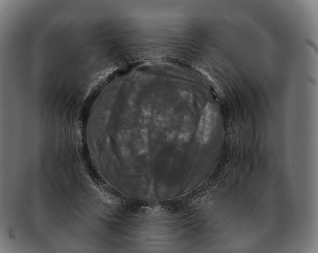 X0000091490688200709131831