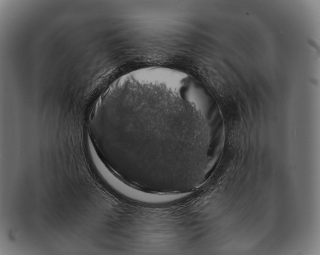 X0000091490689200709131831