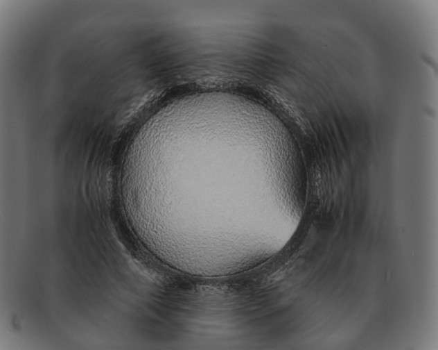 X0000091490690200709131831