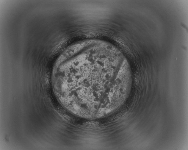X0000091490691200709131831