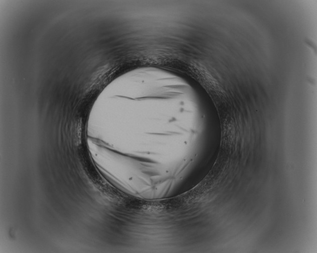 X0000091490694200709131831