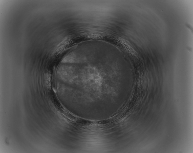 X0000091490696200709131831