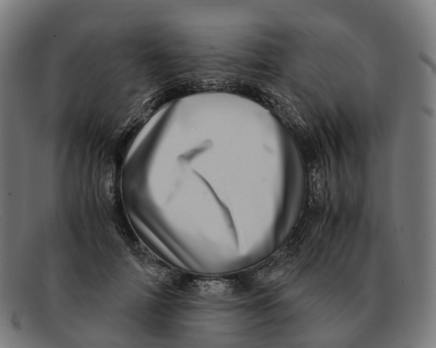 X0000091490698200709131831
