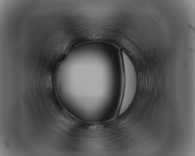 X0000091490700200709131831