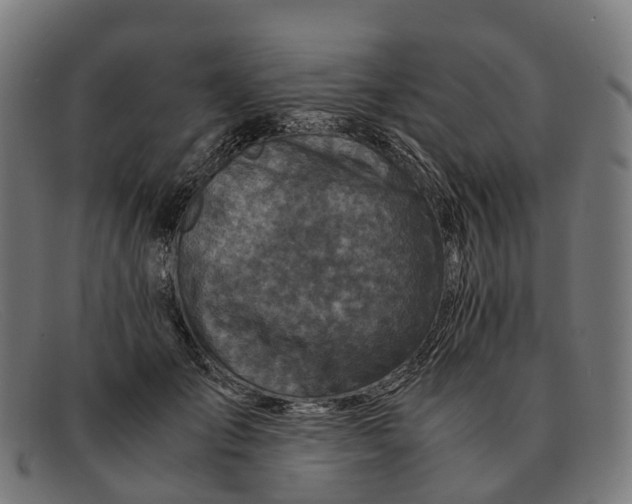 X0000091490701200709131831
