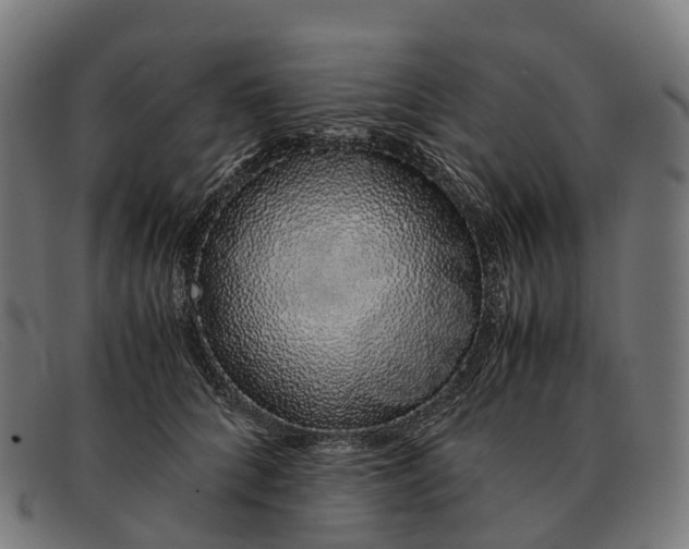 X0000091490704200709131831