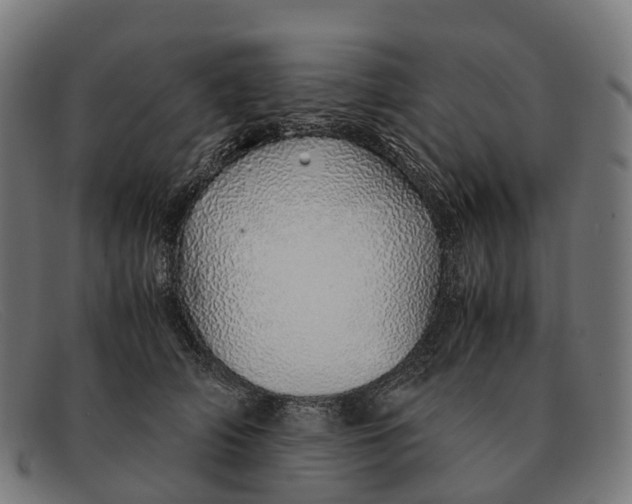 X0000091490706200709131830