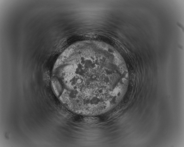 X0000091490707200709131830
