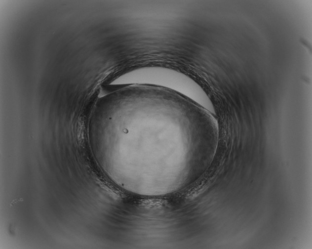 X0000091490708200709131830